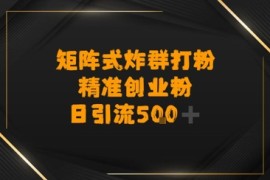 矩阵炸群打粉，日引流500 精准创业粉