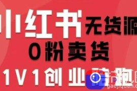 小红书无货源0粉电商课，开店准备、选品策略、笔记撰写、视频剪辑、数据分析、账号打造、资料文档(更新26年6月22日)