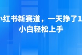 小红书新赛道，一天挣了13张，小白轻松上手