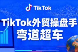 TikTok外贸操盘手(更新11月)