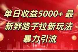 单日收益5000  野路子拉新玩法，一单利润43，吃瓜暴力拉新