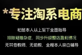 松鼠会电商VIP课程，从基础布局到高阶优化，助你掌握淘宝运营逻辑，提升店铺流量与转化(更新0823)