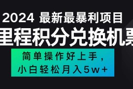 （12016期）2024最新里程积分兑换机票，手机操作小白轻松月入5万  