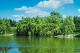 保定手机(保定手机号码)