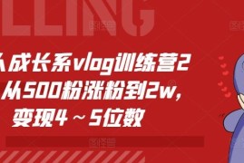 个人成长系vlog训练营2期，从500粉涨粉到2w，变现4～5位数
