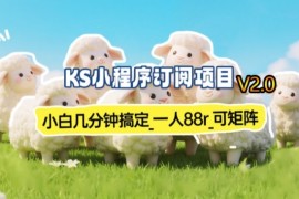 【新一期】小程序订阅_小白几分钟70-80r，可矩阵(已测到账)