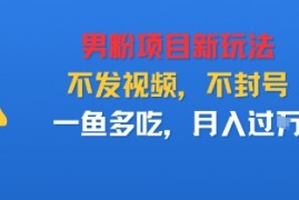 男粉项目新玩法，不发视频，不封号，一鱼多吃，月入过W