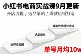（16120期）小红书电商实战课9月更新，开店流程/选品策略/爆款店铺打造，单号月均10w 