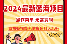 2024最新蓝海项目，无需剪辑，京东图文短视频无脑搬运月入2W 