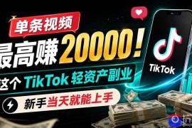 单条视频最高赚 20000！这个 TikTok 轻资产副业，新手当天就能上手