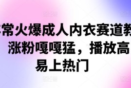 非常火爆成人内衣赛道教学，涨粉嘎嘎猛，播放高，易上热门