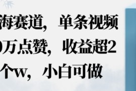 蓝海赛道，AI哲学视频玩法，单条视频60W点赞，收益超2个w，小白可做