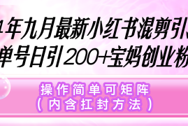 （12530期）小红书混剪引流，单号日引200 宝妈创业粉，操作简单可矩阵（内含扛封…