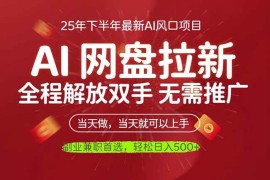 （16392期）AI网盘推广，完全解放双手，轻松日入500 ，真正实现睡后收入