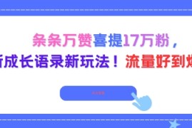 条条万赞喜提17W粉，最新成长语录新玩法，流量好到爆！