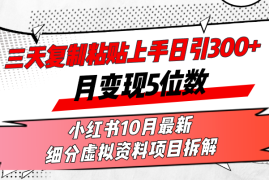 （13077期）三天复制粘贴上手日引300 月变现5位数小红书10月最新 细分虚拟资料项目…