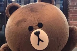 个性手机(个性手机铃音试听)