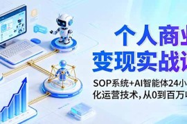 （16111期）个人商业变现实战课：SOP系统 AI智能体24小自动化运营技术，从0到百万收入