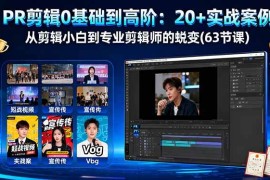 （16337期）PR剪辑0基础到高阶：20 实战案例，从剪辑小白到专业剪辑师的蜕变(63节课)