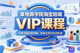 某电商学院淘宝培训VIP课程，各种经典有用的流量获取秘籍，改善运营产品没利润的处境(2026年6月)