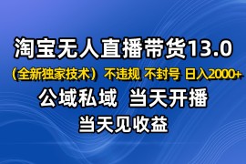 淘宝无人直播13.0，公域私域技术，不封号，不违规 布局下半年旺季赛道，日入2000 