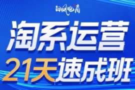 白凤电商·淘系运营21天速成班(更新2月)