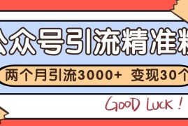 公众号私域获客，软文引流个人IP打造日引30 ，快速沉淀起自己的私域流量池