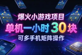 爆火小游戏撸金项目，实测单机一小时30 ，可多手机矩阵操作，新手看完一遍就能上手【揭秘】