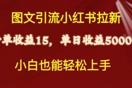 （10329期）图文引流小红书拉新一单15元，单日暴力收益5000 ，小白也能轻松上手