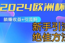 2024欧洲杯风口的玩法及实现收益躺赚 引流粉丝的方法，新手小白绝佳项目【揭秘】