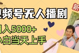 （12120期）视频号无人播剧，拉爆流量不违规，日入5000 ，小白当天上手
