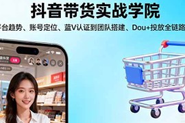（16215期）抖音带货实战学院:从平台趋势/账号定位/蓝V认证到团队搭建/Dou 投放全链路