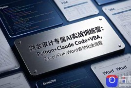 财会审计专属 AI实战训练营：Python Claude Code VBA，Excel/PDF/Word自动化全流程