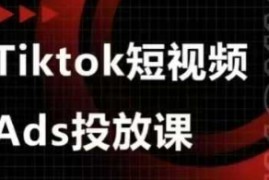 Ads视频投放课，tiktok短视频广告投放课