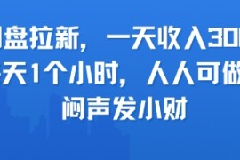 网盘拉新，一天收入3张 ，每天1个小时，人人可做，闷声发小财