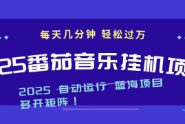 （16556期）2025最新挂机番茄音乐项目，每天几分钟，日入1000＋