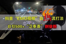抖音EMO视频自热打法，日引500 “泛垂直”创业粉