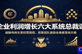 企业利润增长六大系统总裁课：破解传统生意经营困局，获客团队激励全维度落地方案