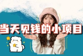 当天能收益的3个小项目拆解_包括平台 操作流程