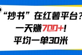 抄书在红薯平台？一天挣几张，平均一单30米，有手就行，新手小白不二之选！