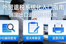 外贸退税系统化入门指南：HS编码查询 报关单解读 发票开具，一套课程搞定出口退税核心技能
