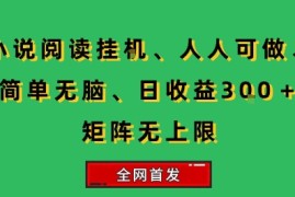 小说挂G阅读，人人可做，简单无脑，一天收益3张 矩阵无限上，全网首发【揭秘】