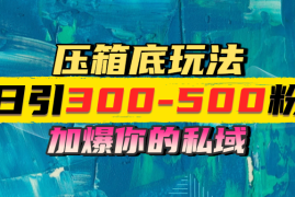一天引流300-500粉，加爆你的私域，且都是实时变现，轻松日入1000 