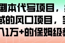 AI 剧本代写项目，细分领域的风口项目，实测月入1W 的保姆级教程