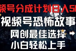 （11308期）2024最新视频号分成计划，每天5分钟轻松月入500 ，恐怖故事赛道,