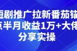 短剧推广拉新番茄锚点半月收益1万 大佬分享实操