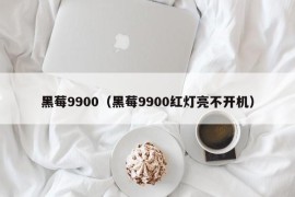 黑莓9900（黑莓9900红灯亮不开机）