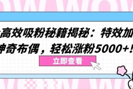 两个高效吸粉秘籍揭秘：特效加持与神奇布偶，轻松涨粉5000 【揭秘】