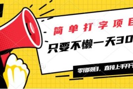 （14096期）简单打字项目，一天可撸300 ，单日无上限，多劳多得！