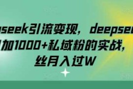 deepseek引流变现，deepseek被动日加1000 私域粉的实战，0粉丝月入过W